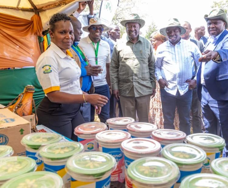 Pcs Mudavadi Launches FAO-Supported Curriculum, Rallies Support for Climate-Smart Agriculture